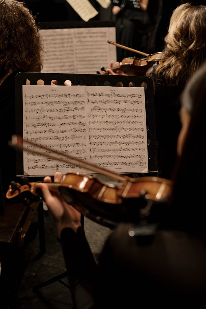 Home An orchestra violinist during a performance, focusing on sheet music and the instrument.